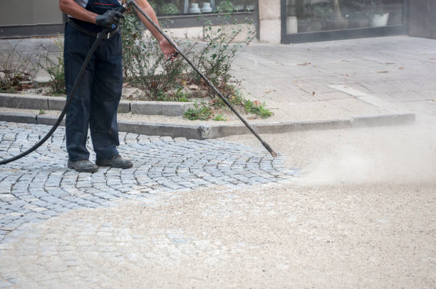 Best Roof Washing  in Serenada, TX